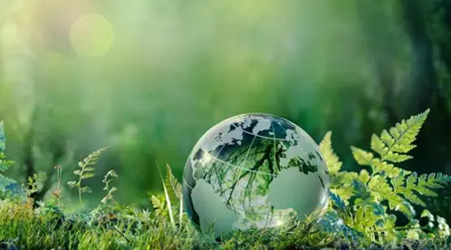 Energy Saving & Consumption Reduction