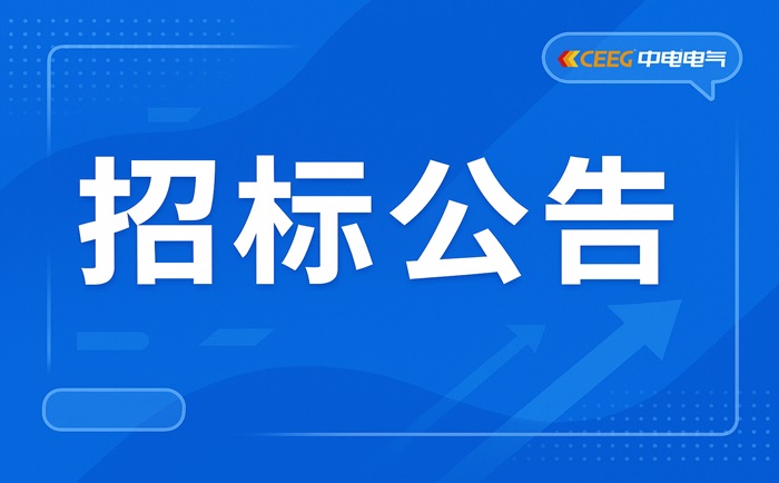 电力工程总承包二级资质申报咨询服务招标公告