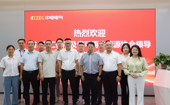 江苏省、市工信厅及省可再生能源协会领导莅临中电电气交流指导